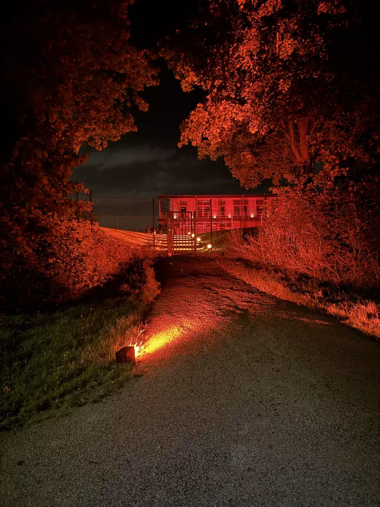 Mis en lumière espace arboré
